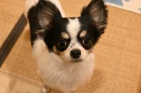 20251229 ○○様ご家族 ご満足！Fanclub登録！ありがとうございました！！！○○ちゃんが行きたかった宝探し！宝物が見つかりましたか？！（子供より親御さんが夢中になるようですが・・・）次回はメンバープランにてお帰り下さいね！！！（立成の写真で失礼致します）